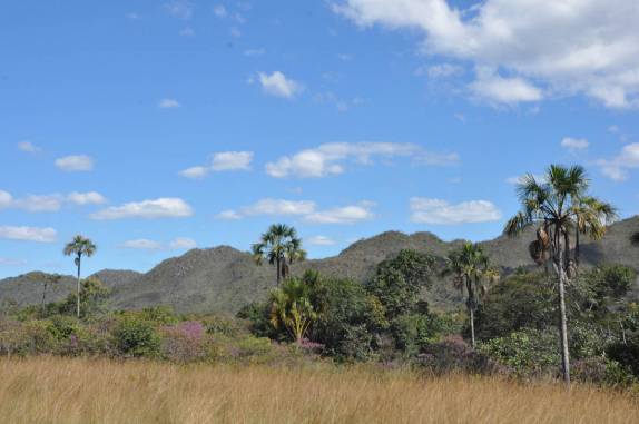 Vista do cerrado na Chapada dos Veadeiros, região de Cavalcante - GO
